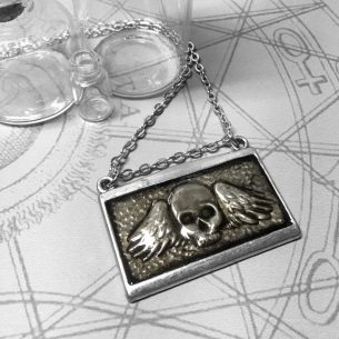 Winged Skull (Silver Rectangle)